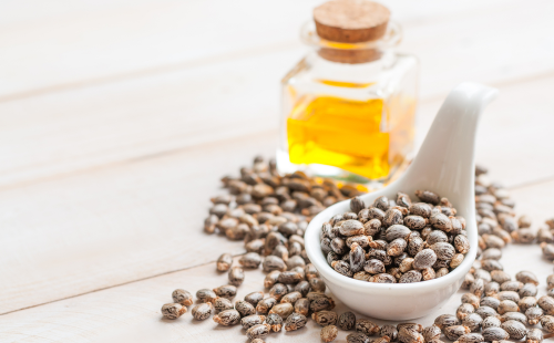Aceite de ricino y semillas