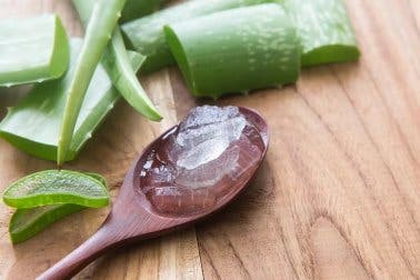 El aloe vera combate la digestión lenta