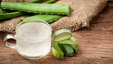 Aloe vera para calmar el cuero cabelludo