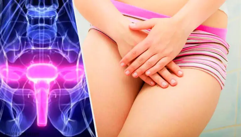 Anatomía de la vagina