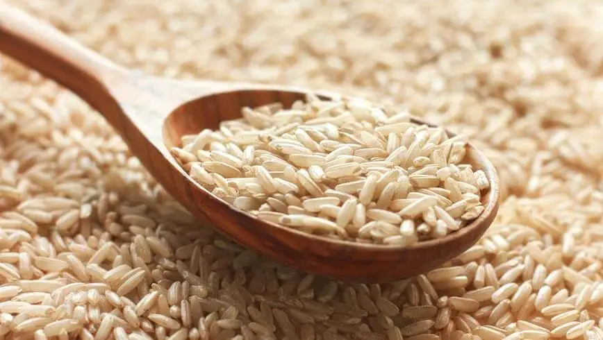 arroz