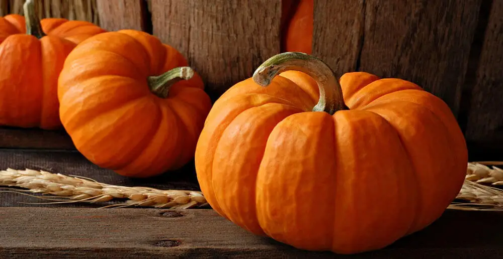 calabaza