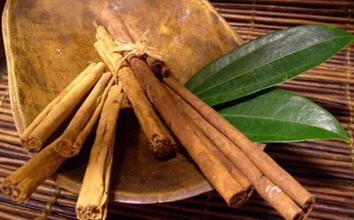 Rama de canela