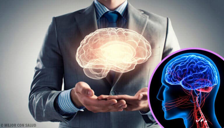 Fisiología del cerebelo