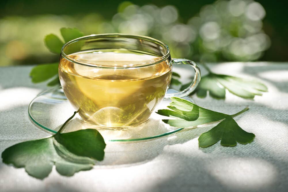 Té de Ginkgo biloba.