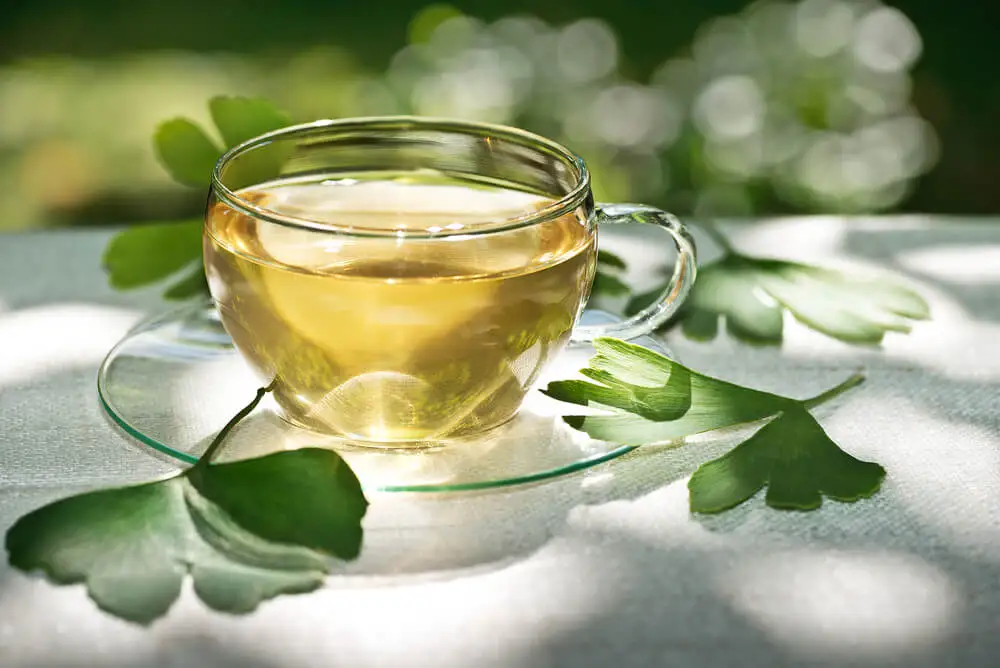 Infusión de ginkgo biloba para reducir los síntomas de la menopausia