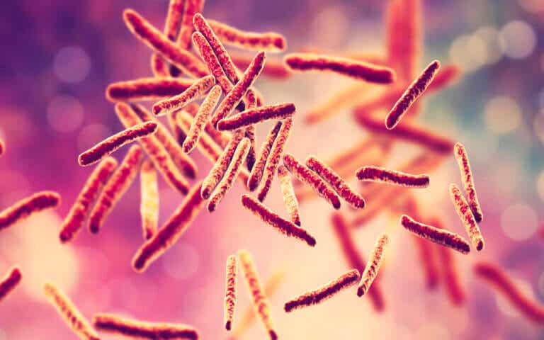 Tratamiento de la tuberculosis