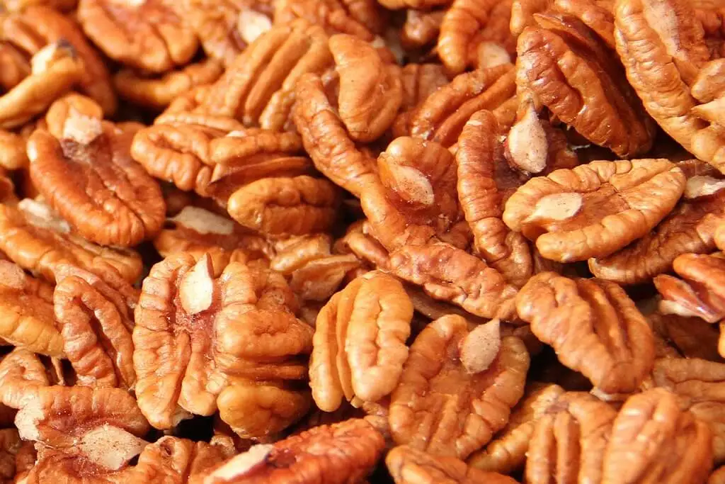 nueces