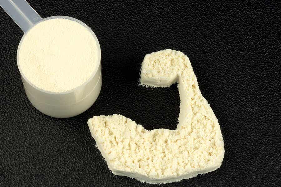 Qué es la proteína de suero de leche y quién debe tomarla
