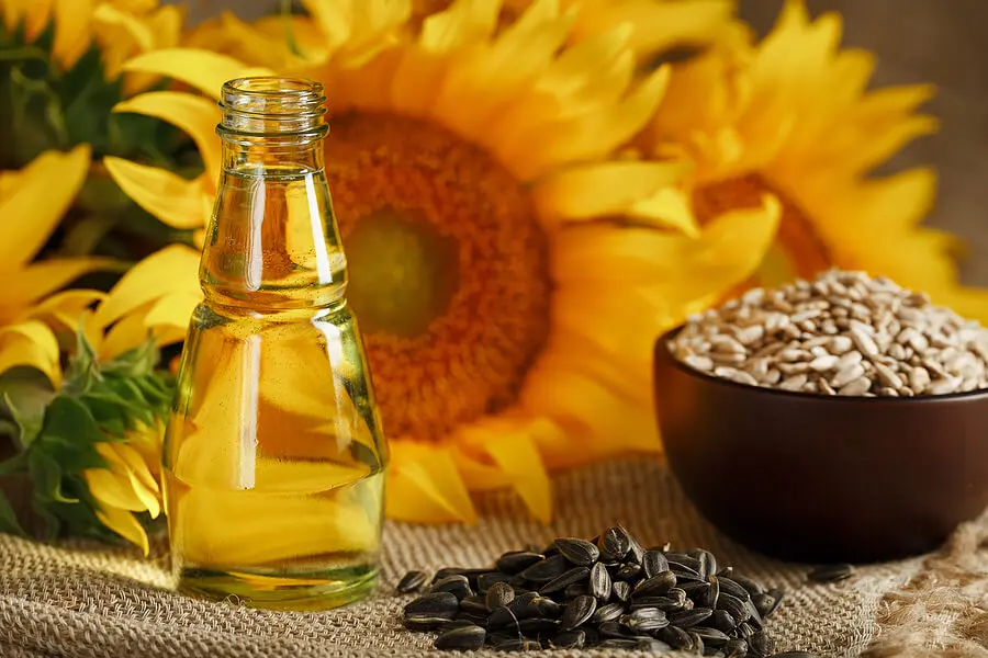 Semillas y aceite de girasol