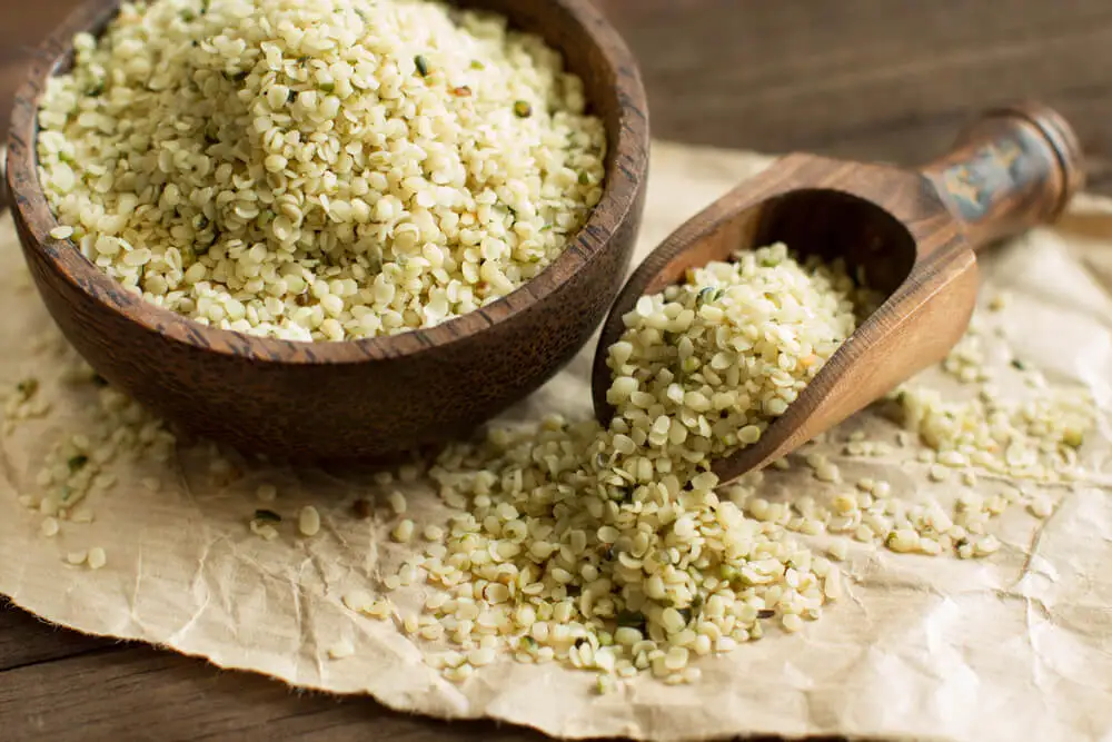 Batidos de proteína vegetal: semillas de cáñamo.