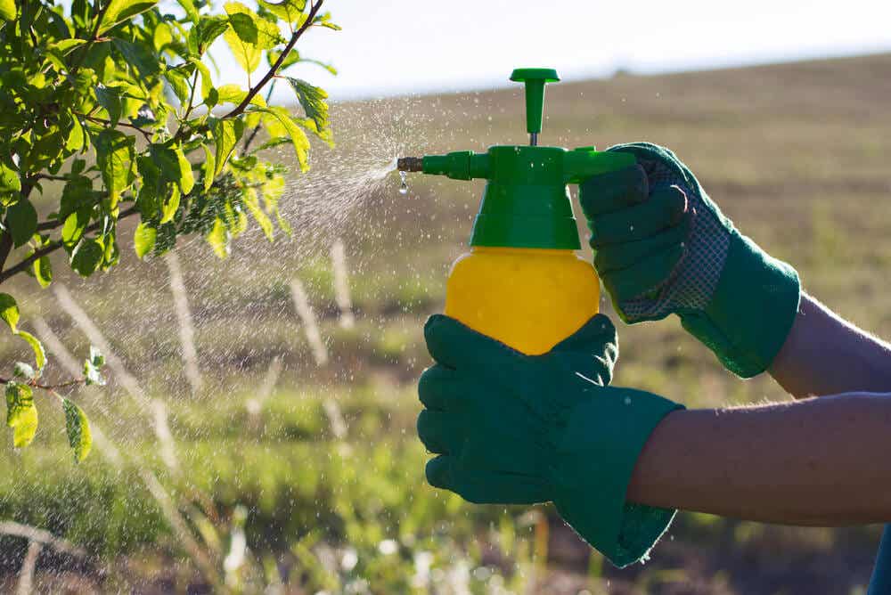 Evita los pesticidas