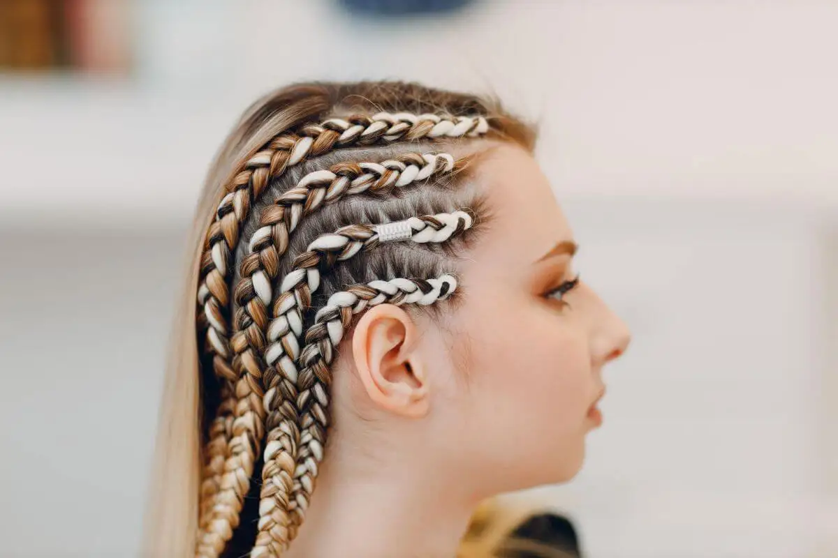 Varias trenzas a un lado.