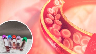 La trombopoyetina: síntesis y funciones