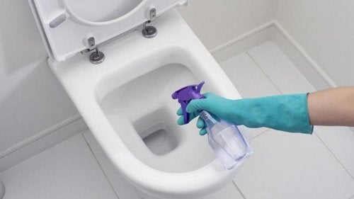 Limpiar el inodoro con vinagre blanco