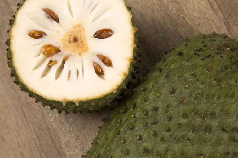 2 deliciosas recetas de postre de guanábana