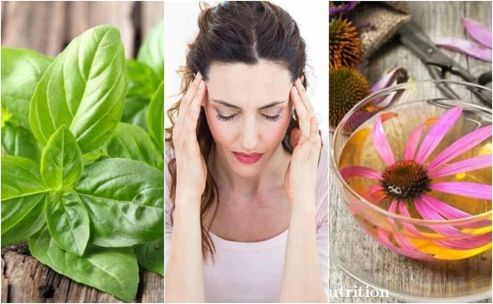 5 remedios naturales efectivos para el dolor de cabeza