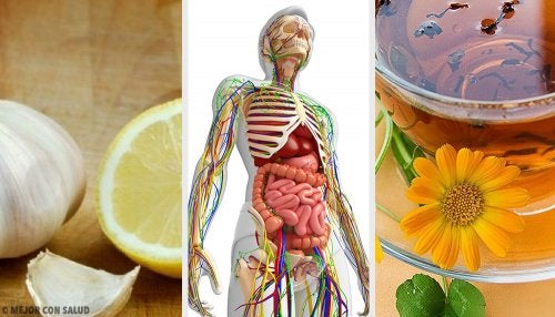 6 remedios naturales para desintoxicar el sistema linfático