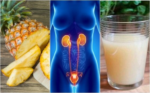 6 remedios para las enfermedades del tracto urinario