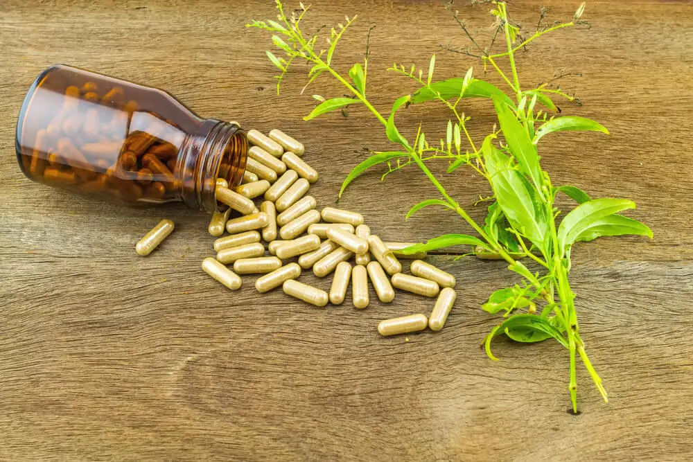 Pastillas de Andrographis paniculata para el dengue