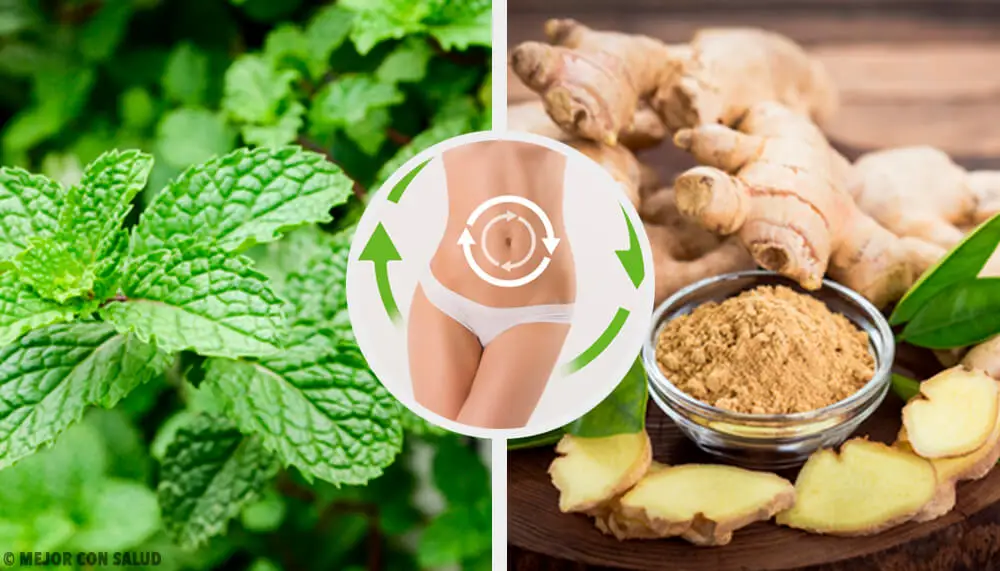 Bebida para activar el metabolismo con jengibre y menta, dietas depurativas