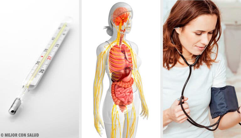 ¿Cómo saber si tienes mercurio en el organismo y qué debes hacer?