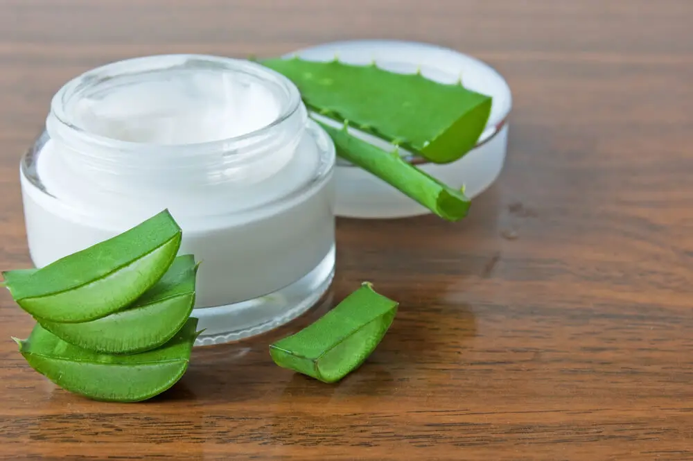 Crema nocturna de aloe vera, leche y aceite de oliva