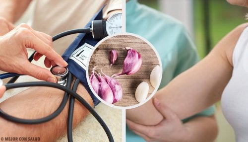 Cuáles son los aportes del ajo para nuestra salud