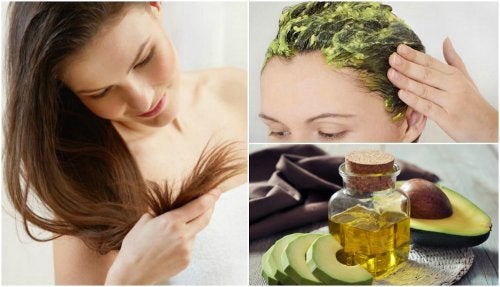 Cómo usar el aguacate para restaurar el cabello dañado