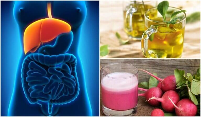 Descubre cómo tratar el hígado graso naturalmente