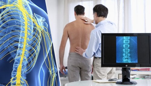 Esclerosis múltiple: una enfermedad polifacética