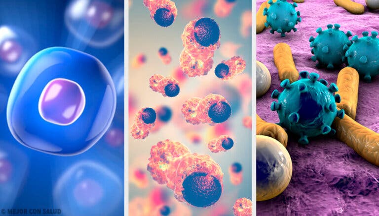 Los tratamientos para el cáncer más vanguardistas