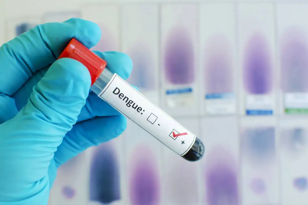 Médico con un tratamiento complementario contra el dengue