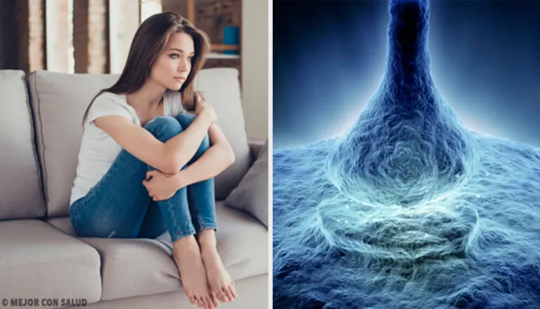 Serotonina: importancia y funciones