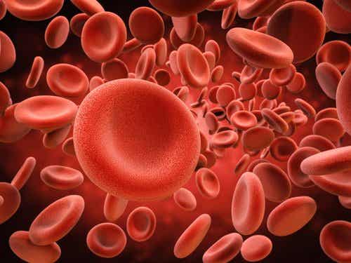 Tipos y causas de la hemacromatosis