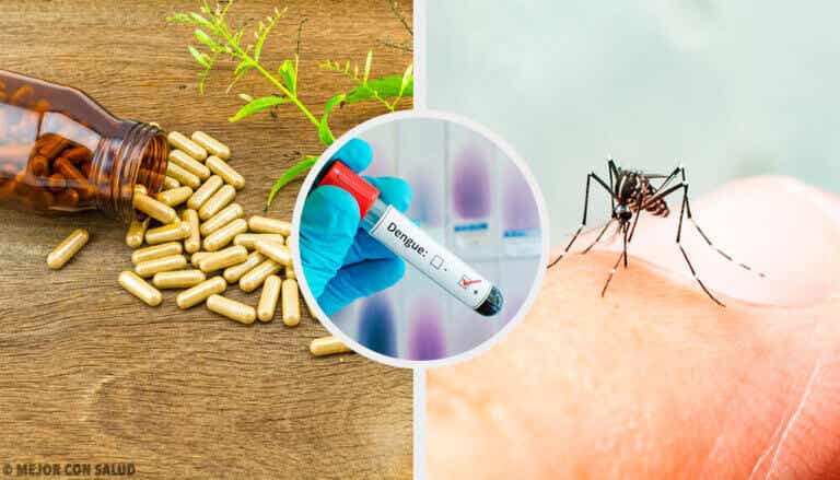 Tratamiento complementario del dengue: remedios naturales