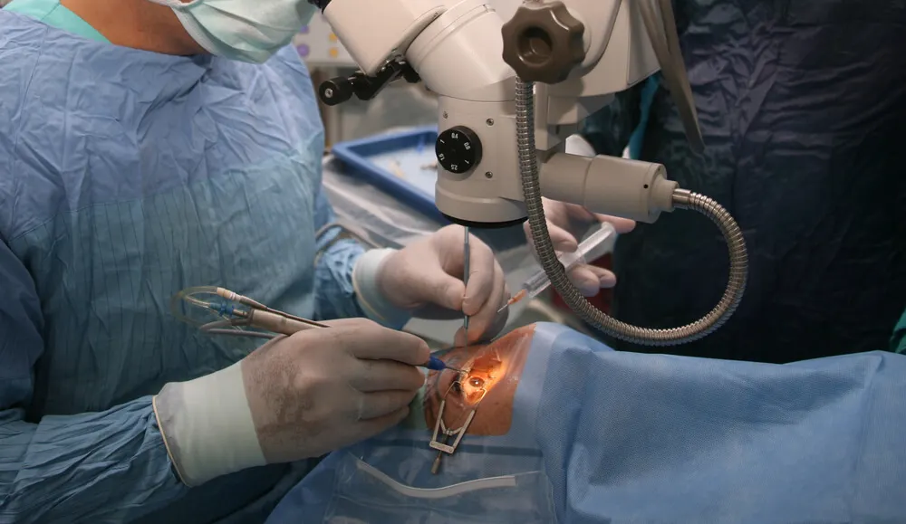 Traitement chirurgical de l'orgelet