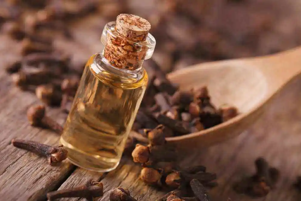 Aceite de oliva y aceite de clavo