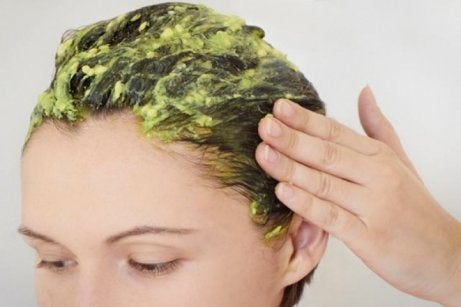 Cómo usar el aguacate para restaurar el cabello dañado — Mejor con Salud