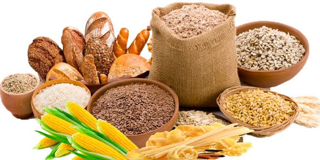 Alimentos ricos en carbohidratos.