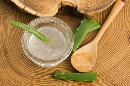 Gel de Aloe vera