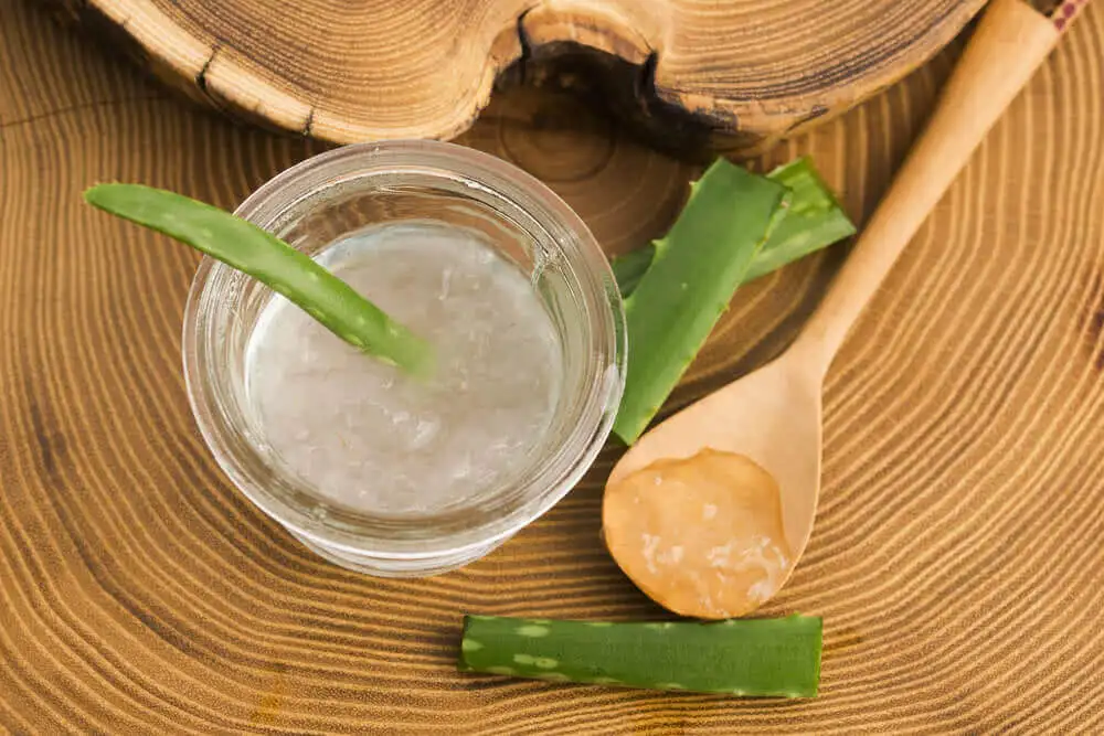 aloe-vera