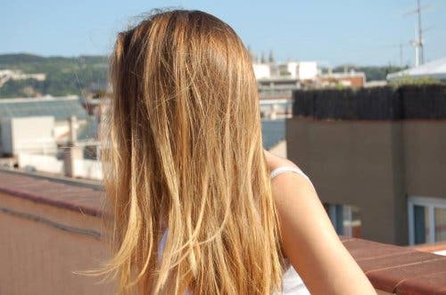 exponerlo-al-sol