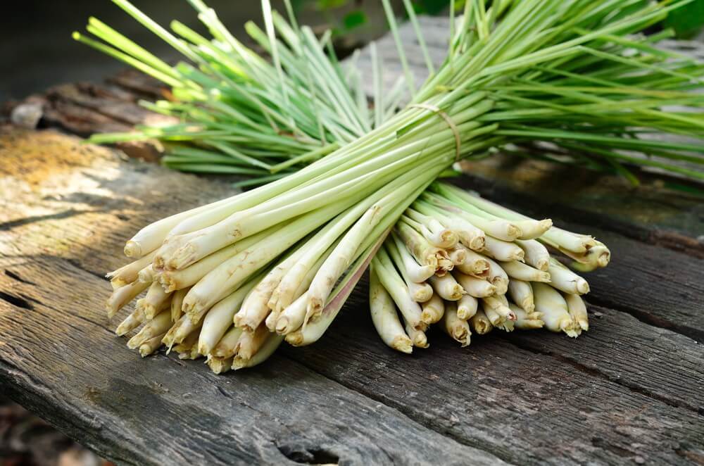 Remedios naturales para el dolor de cabeza: té de hierba de limón