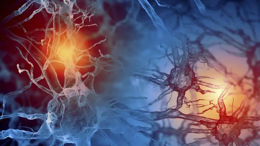 Cómo regular las hormonas con ejercicio