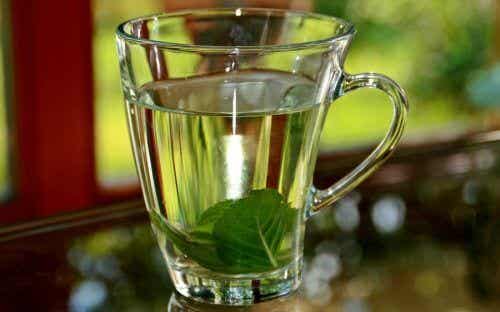 Infusión de albahaca