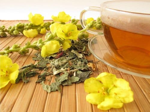 Flores e infusión de gordolobo