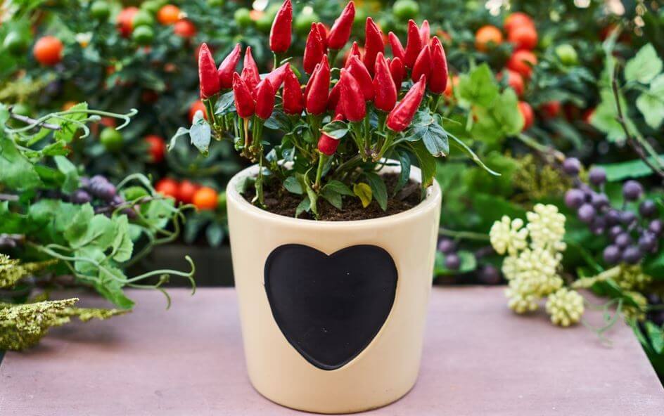 Maceta con relieve pintada con la forma de un corazón.