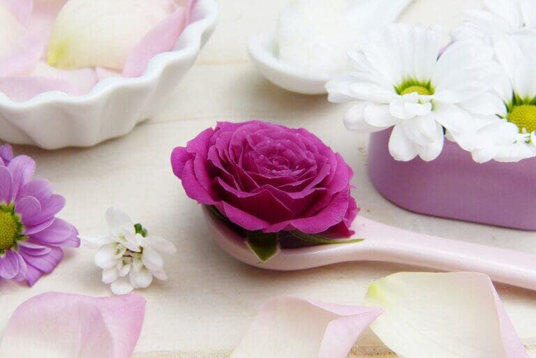 7 beneficios de los pétalos de rosa