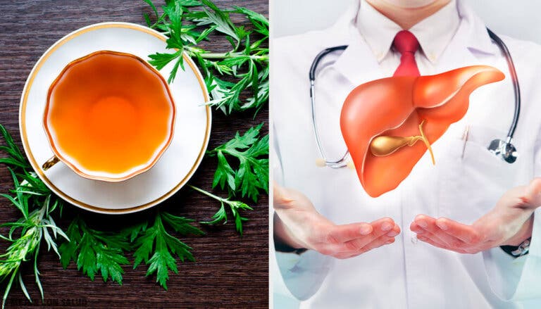 9 propiedades del ajenjo para la salud de nuestro hígado